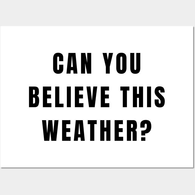 Funny Conversation Starter Can You Believe This Weather Wall Art by Little Duck Designs
